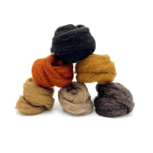 Needle Felting Wool Bundle - Earth