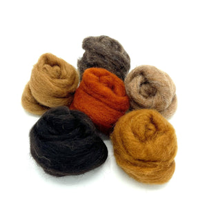 Needle Felting Wool Bundle - Earth