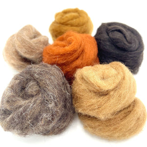 Needle Felting Wool Bundle - Earth