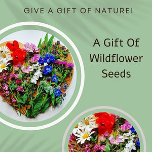 British Wildflower Seed Card