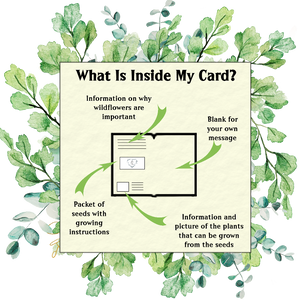 British Wildflower Seed Card