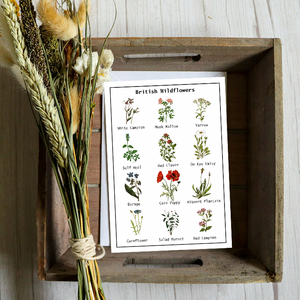 British Wildflower Seed Card