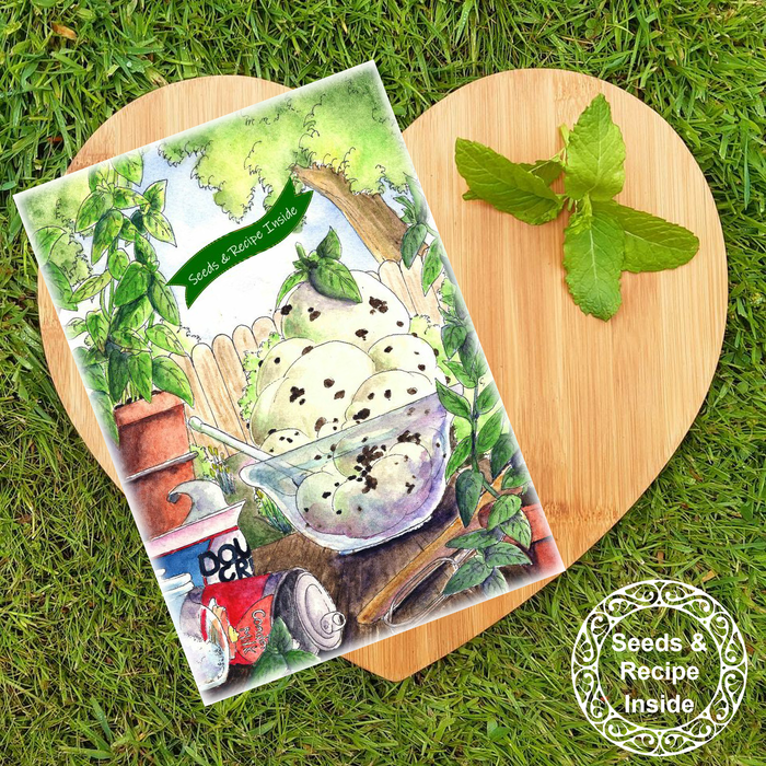 No Churn Mint Choc Ice-Cream Seed Greeting Card